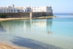 Gallipoli Purità
