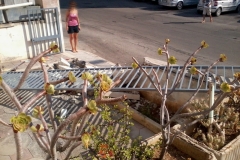 Incidente Cancello Casa